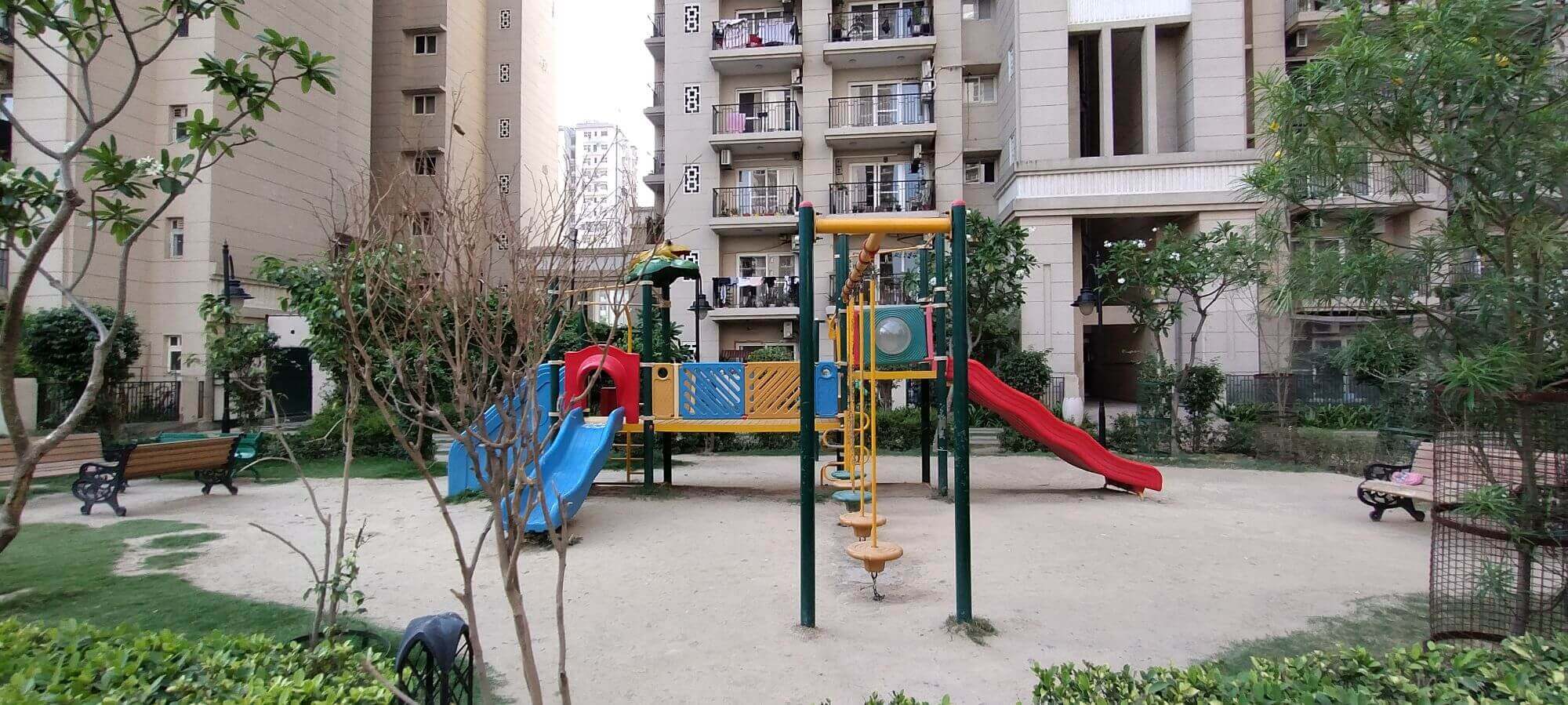 Image 11